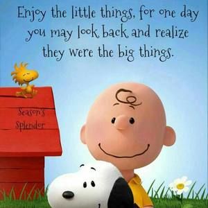 Meet your Posher, Sandy